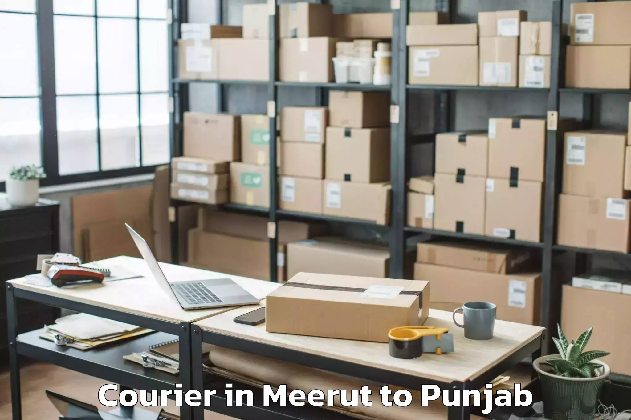 Leading Meerut to Garhshankar Courier Provider